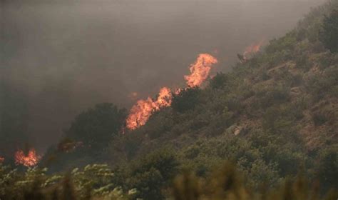Şili’deki orman yangınlarında can kaybı 51’e yükseldi